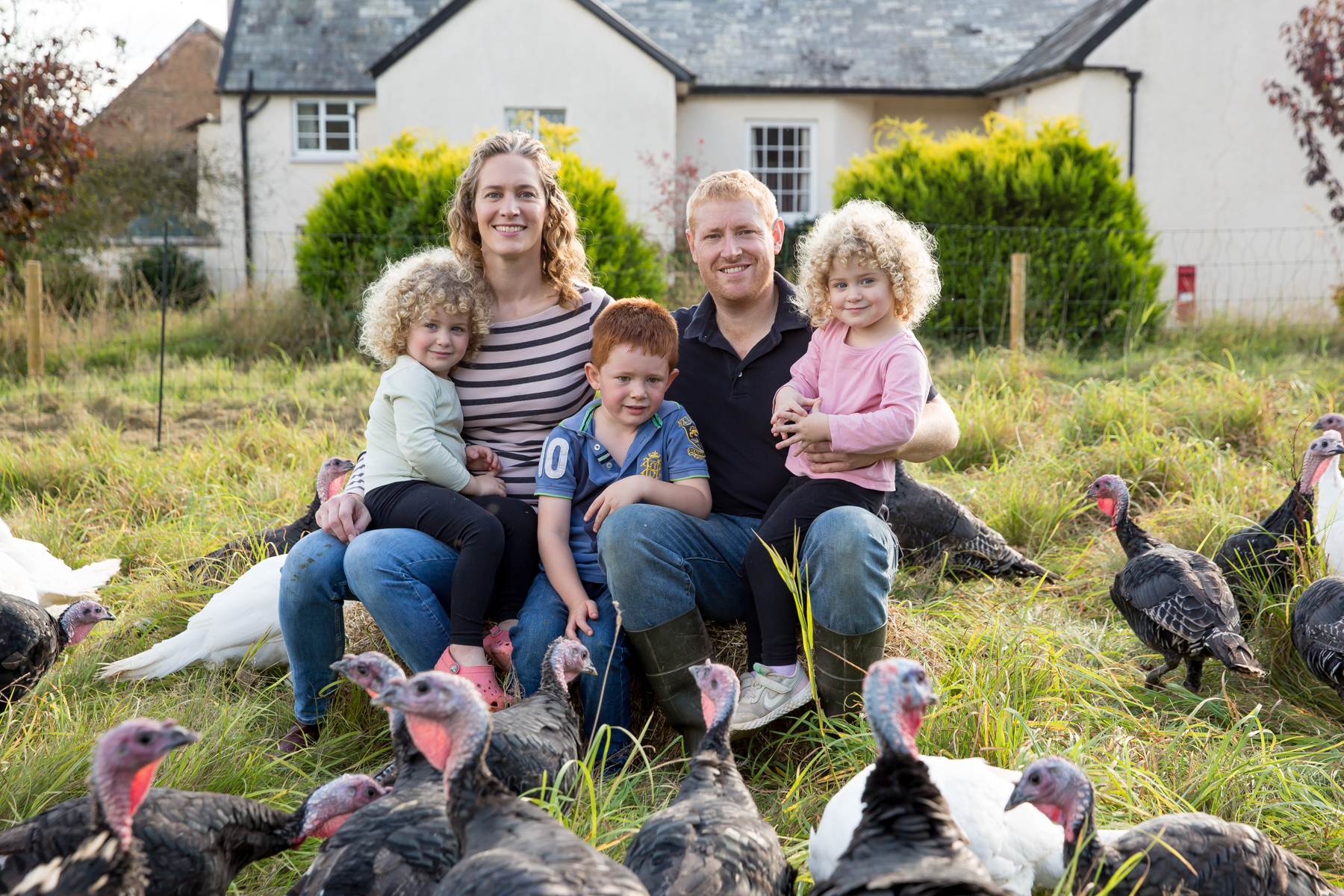 Pale Farm Turkeys Free Range White and Bronze Christmas Turkeys